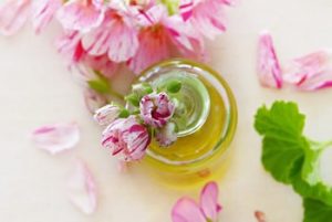 Read more about the article Geranium – Essential Oil of the Month