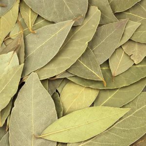 Read more about the article Bay Leaf